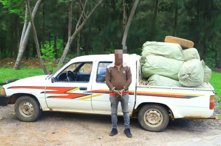 Screenshot 2024-11-20 093933