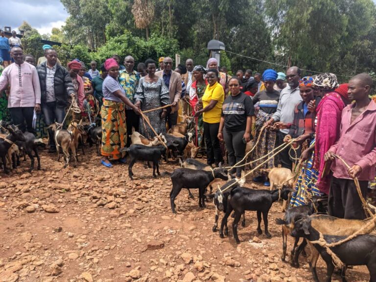 Basabwe kutazigurisha zitarabyara ngo biture