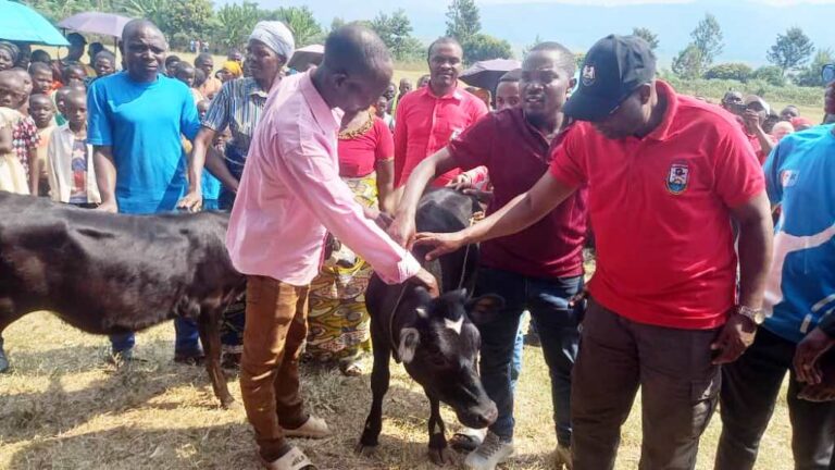 5e0b36b1-aad4-4dca-aab4-bcb646dc77c0