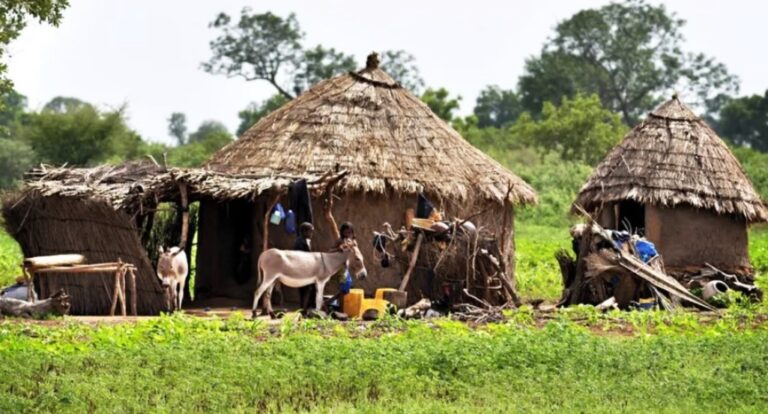 Screenshot 2025-07-23 113139