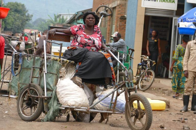 3e512355-44e5-45fd-9918-d47792bd6ea7