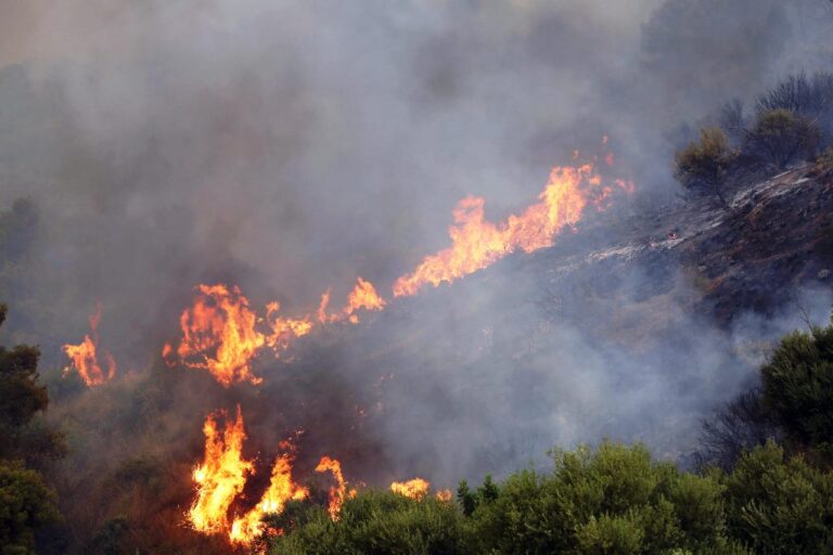 CREATOR: gd-jpeg v1.0 (using IJG JPEG v62), quality = 82