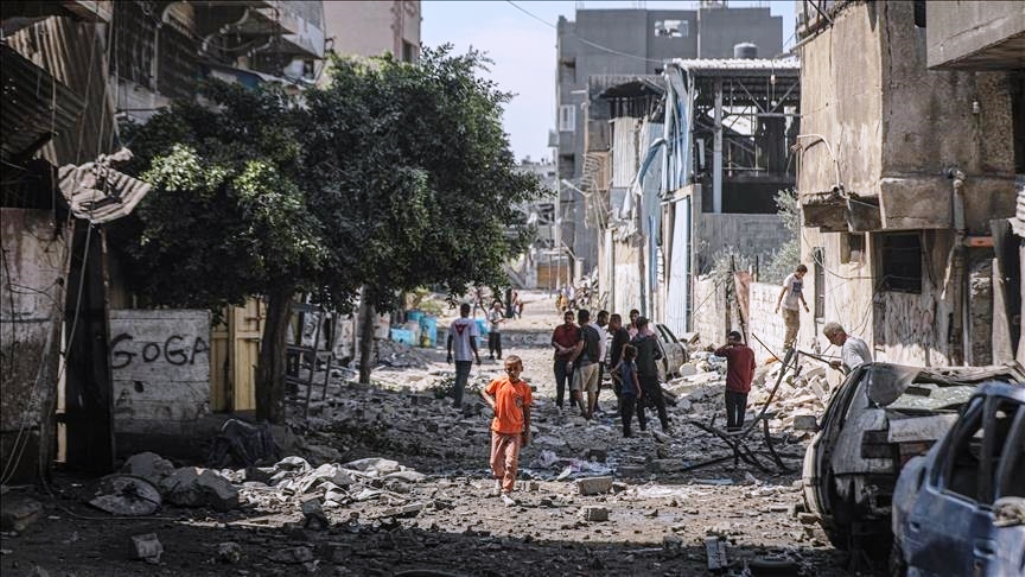 thumbs_b_c_cc703c15fe86a23fd74c6aa0762fa098