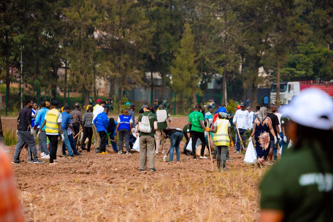 5ff11ffb-c571-4370-95e0-8c73f64fef01