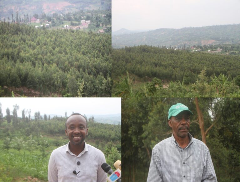 New Microsoft Publisher Document