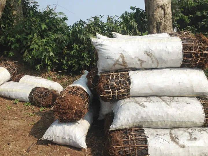 07a8cf27-0977-4a37-98f9-c248c64f1cb4