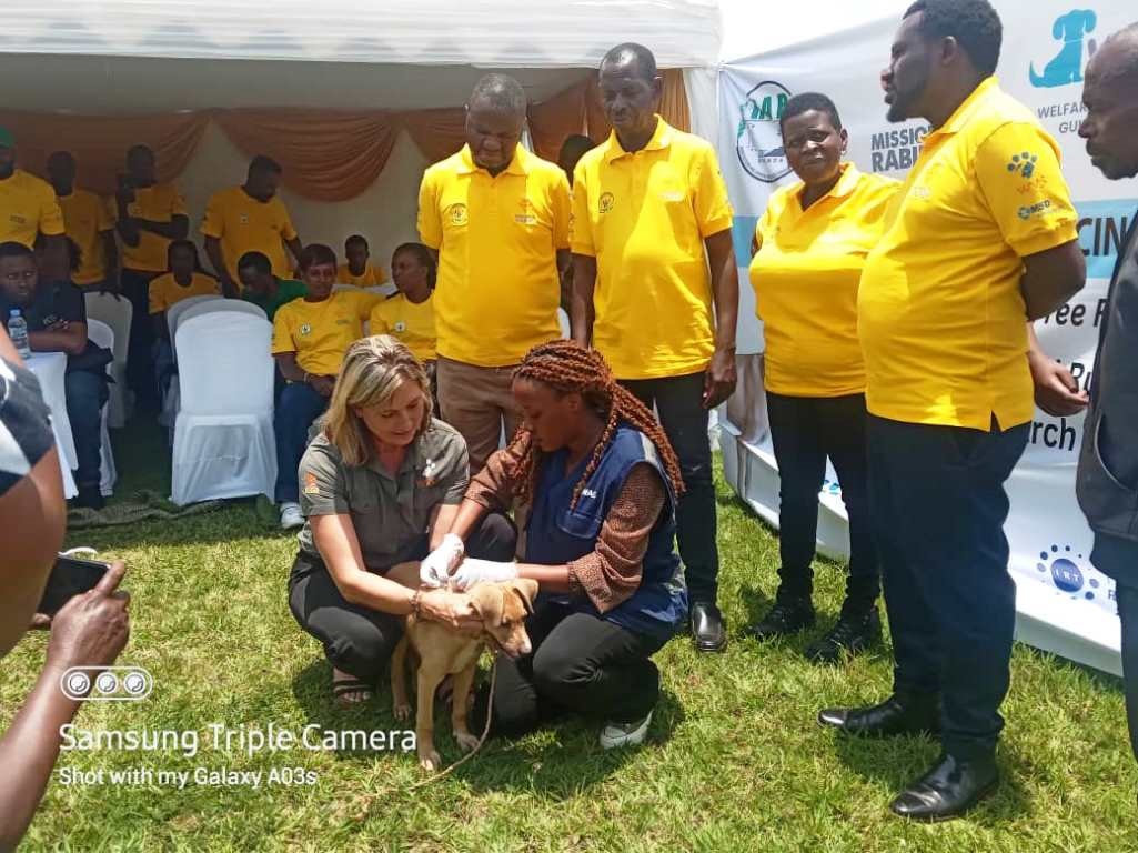 550f2cd2-2220-4f3d-a47a-40b4d80f354f