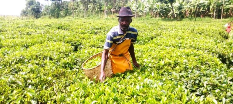 3b56978d-dd7c-461e-8222-31f0338d77fe