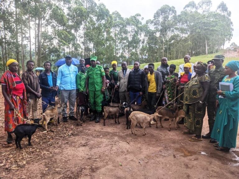 Bahize kubyaza umusaruro witezwe aya matungo