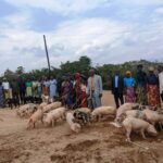 Aborojwe bahize kuyabyaza ibindi by'iterambere