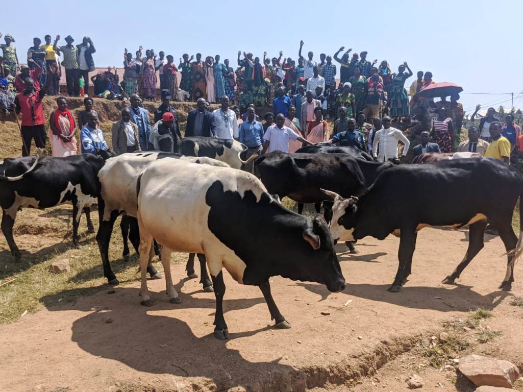 Bashimishijwe no guhabwa inka zihaka bahiga kuzibyaza impinduka mu iterambere